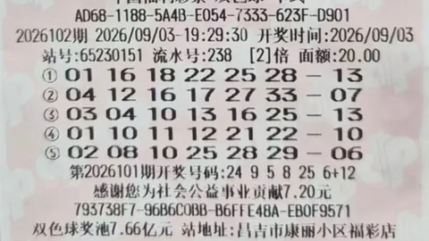 荣耀电竞新品首发，性能抢眼受追捧